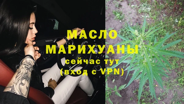дмт Тайга