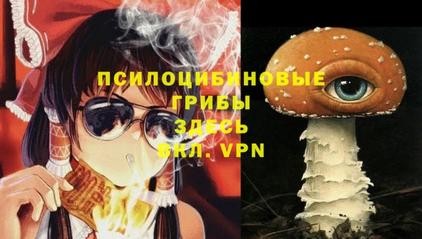 дживик Краснослободск