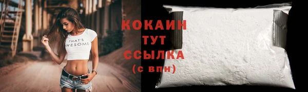 дживик Краснослободск