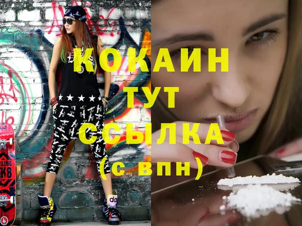 дживик Краснослободск