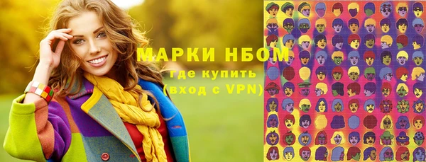 дмт Тайга