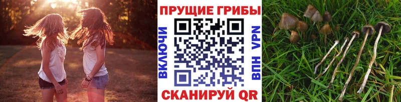 Псилоцибиновые грибы ЛСД  дарнет шоп  Зарайск 